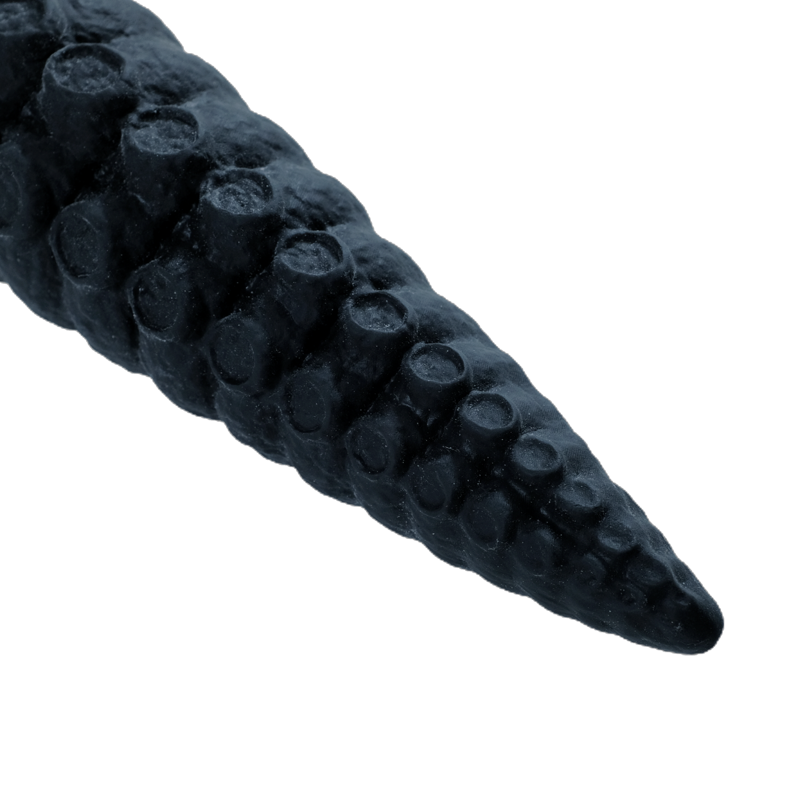 Close-up of the tentacle tip.