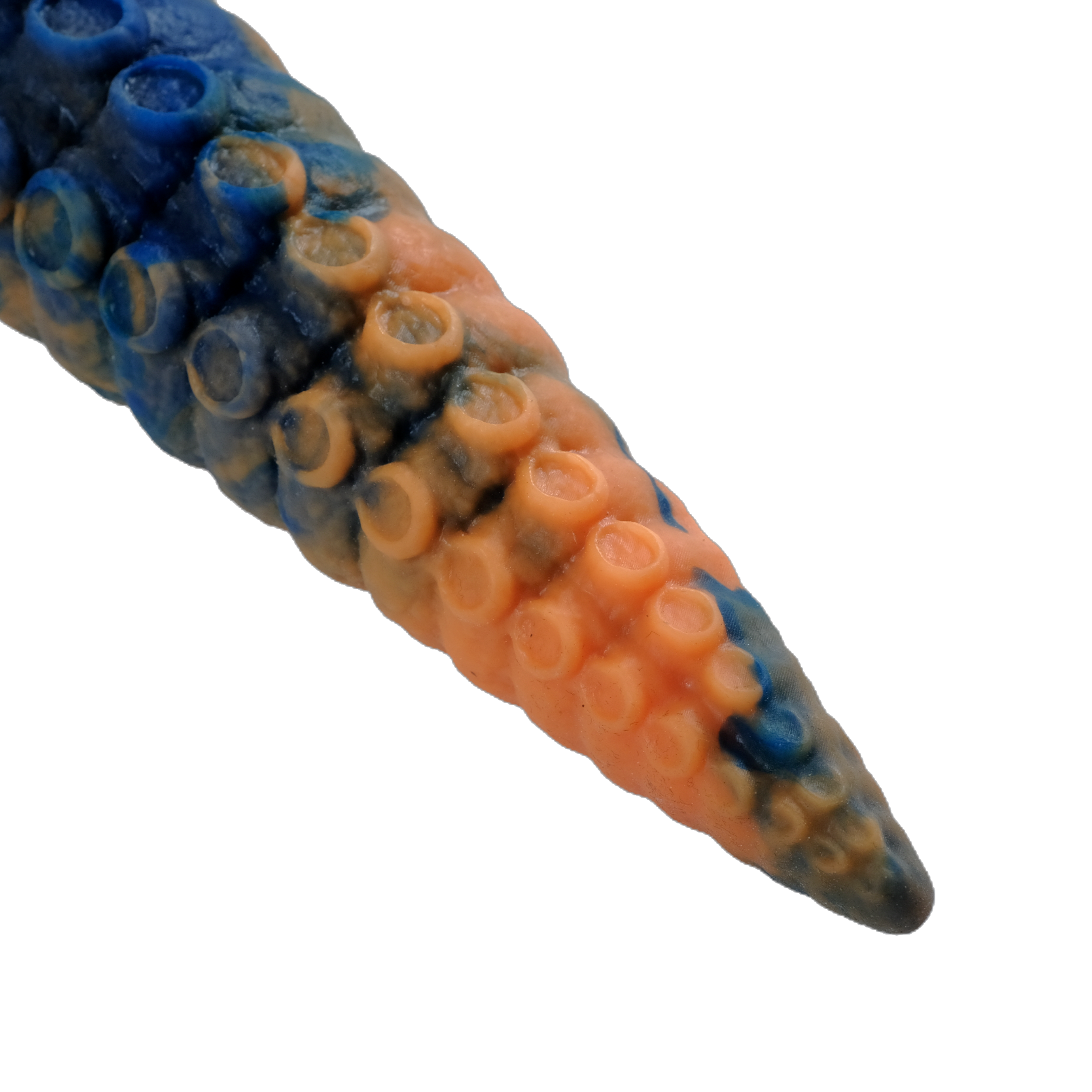 Close-up of the tentacle tip.