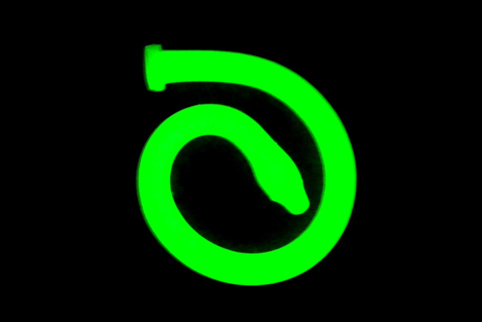 COLON SNAKE Depth Training Platinum Silicone Dildo