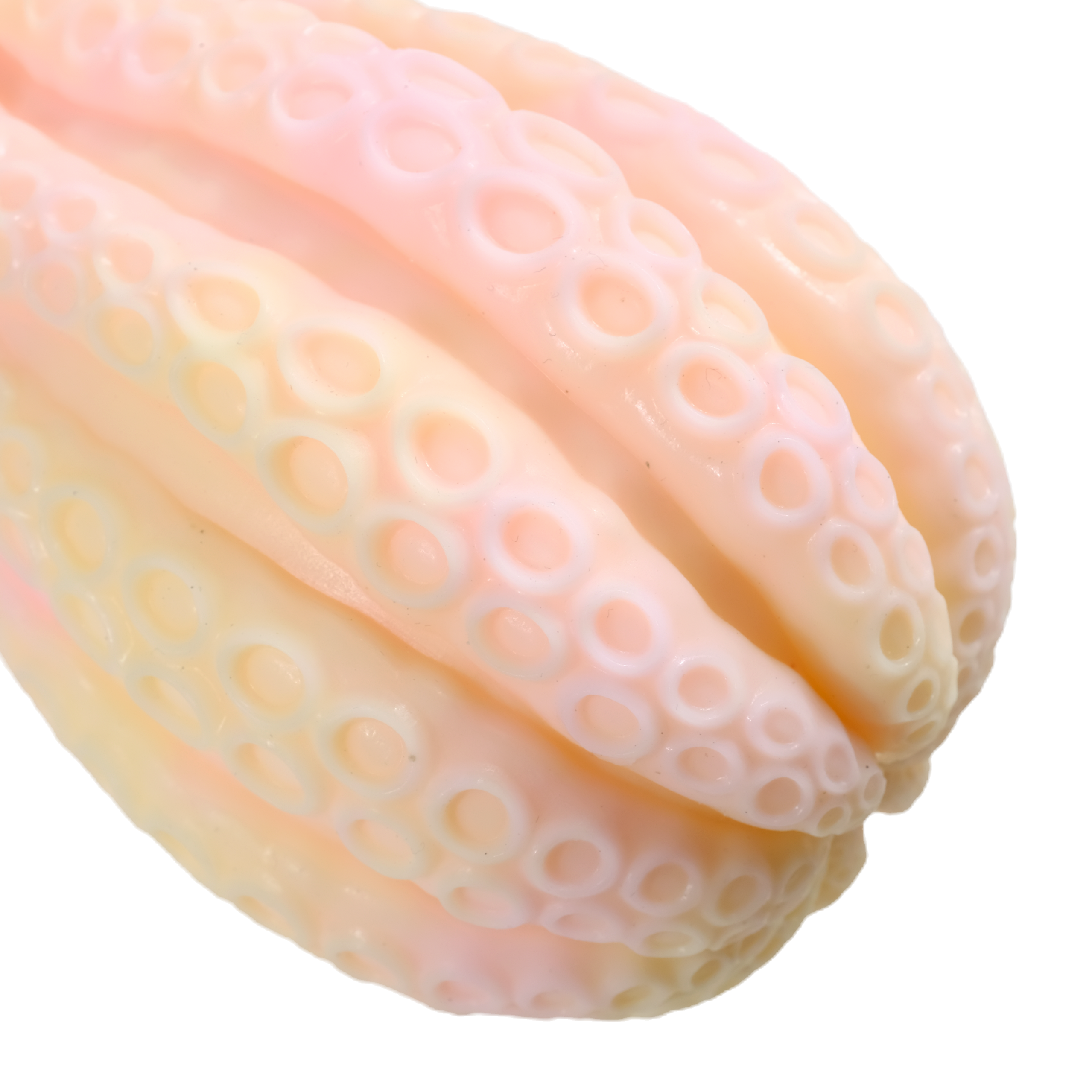 CALAMARI BLISS Platinum Silicone Butt Plug