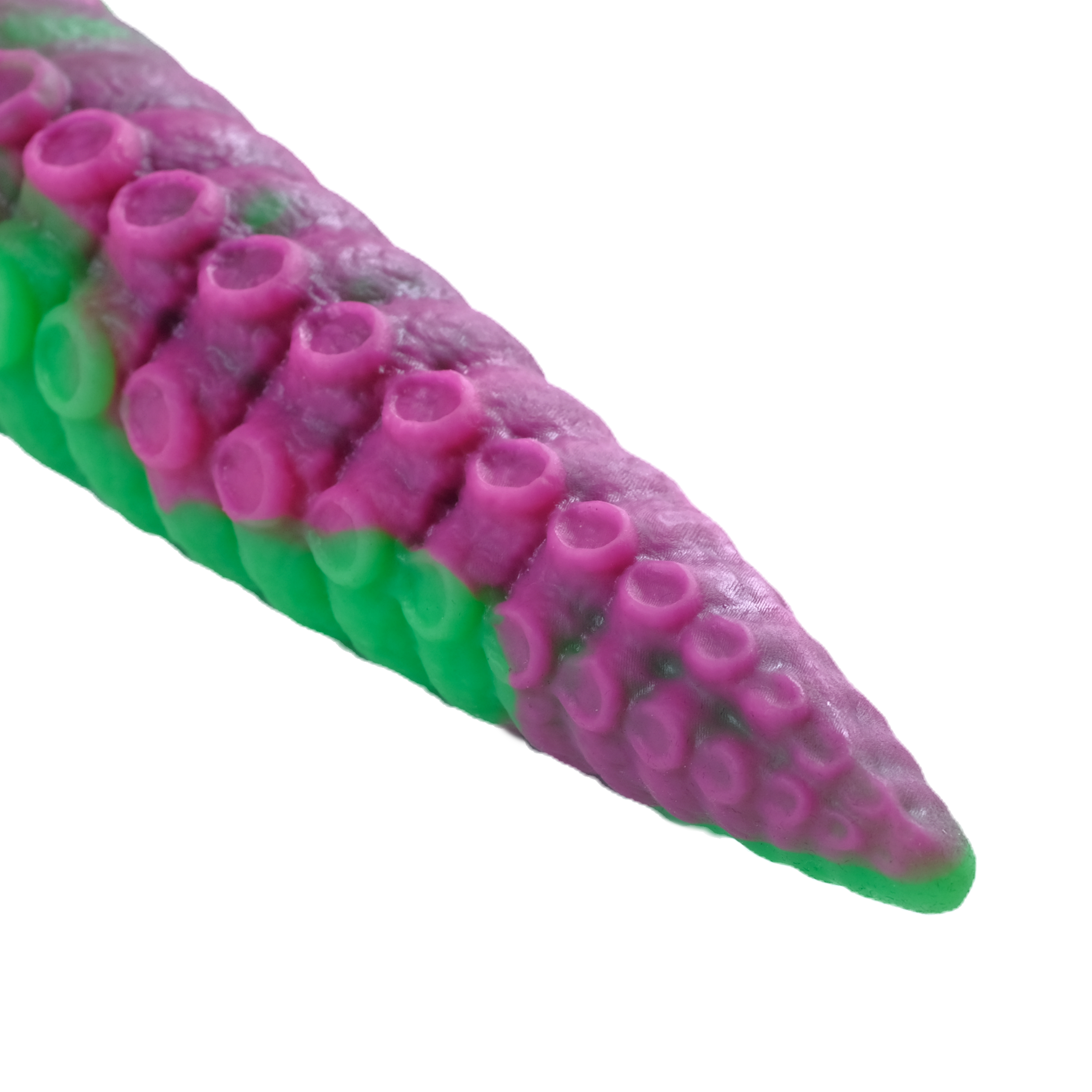 Close-up of the tentacle tip.