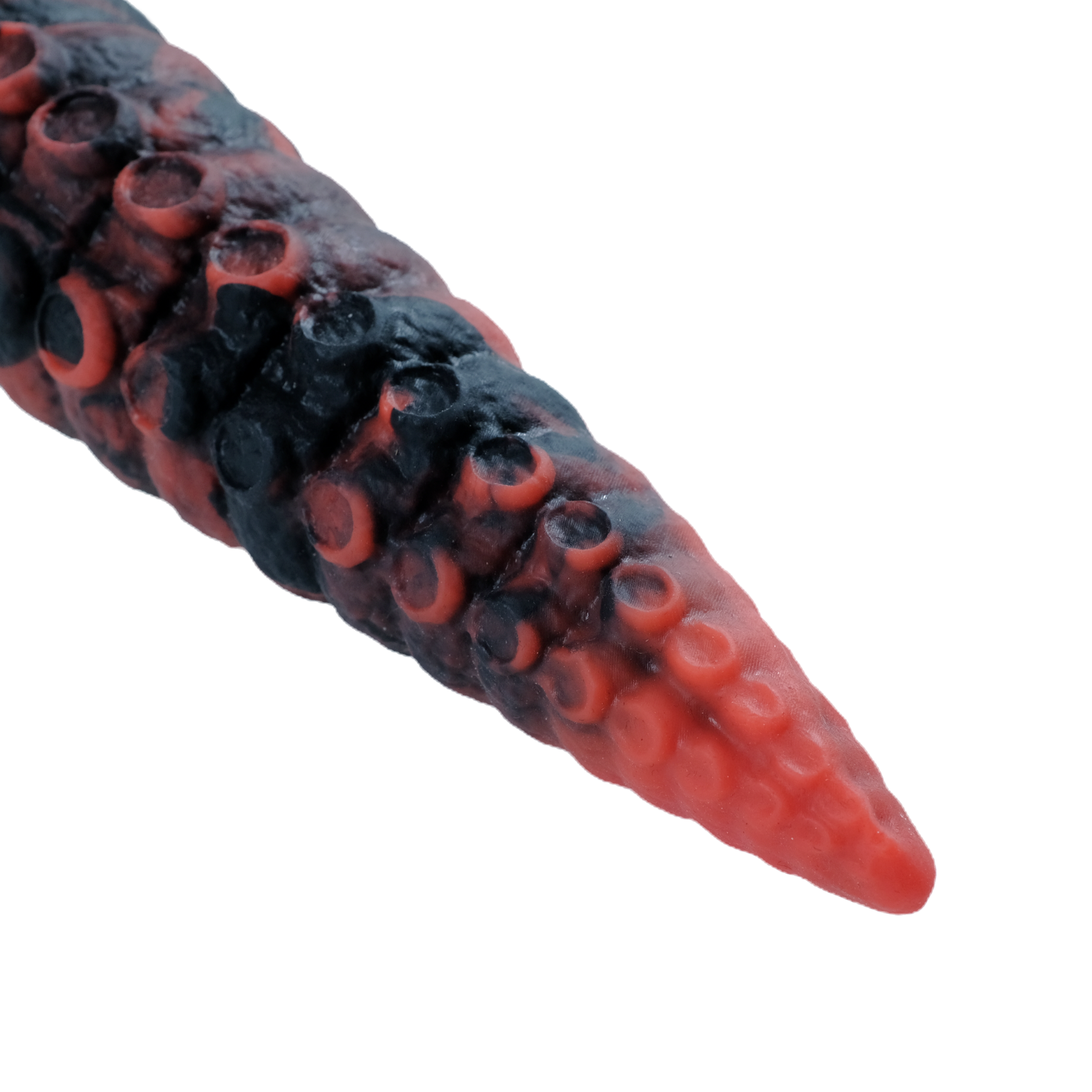 Close-up of the tentacle tip.